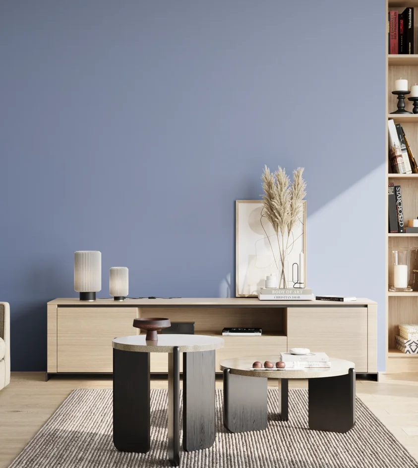 P10_SNIEZKA_salon_02_poludnie_GREY_S2030-R80B