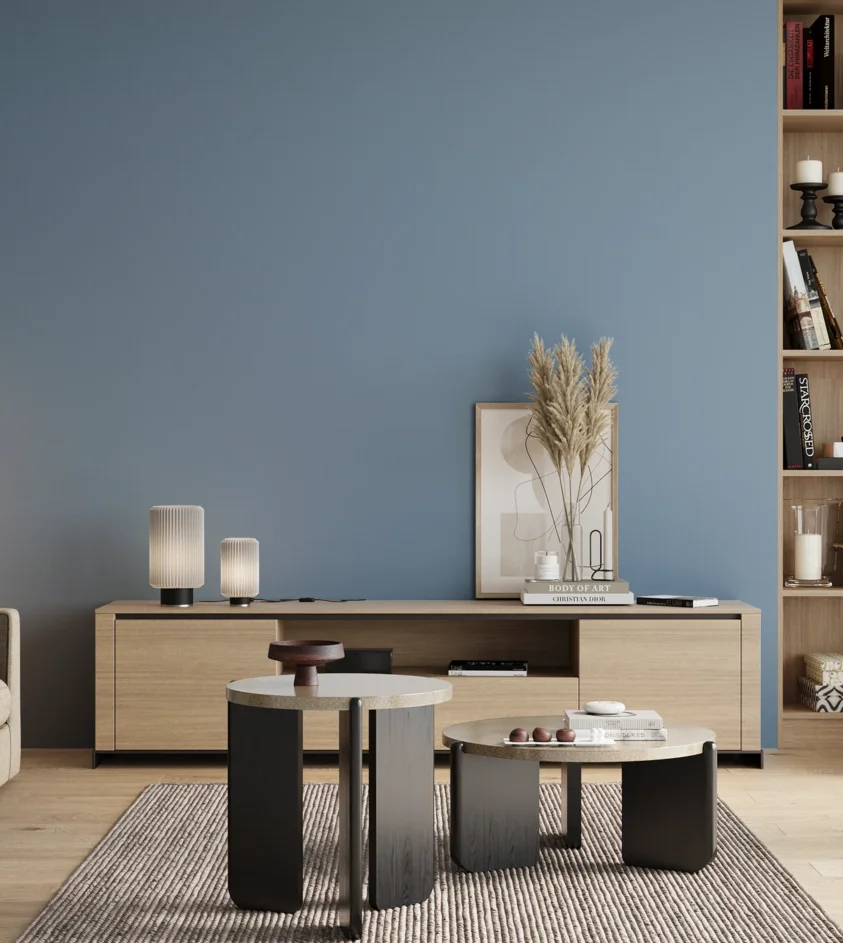 P10_SNIEZKA_salon_00_neutral_GREY_S2030-R90B
