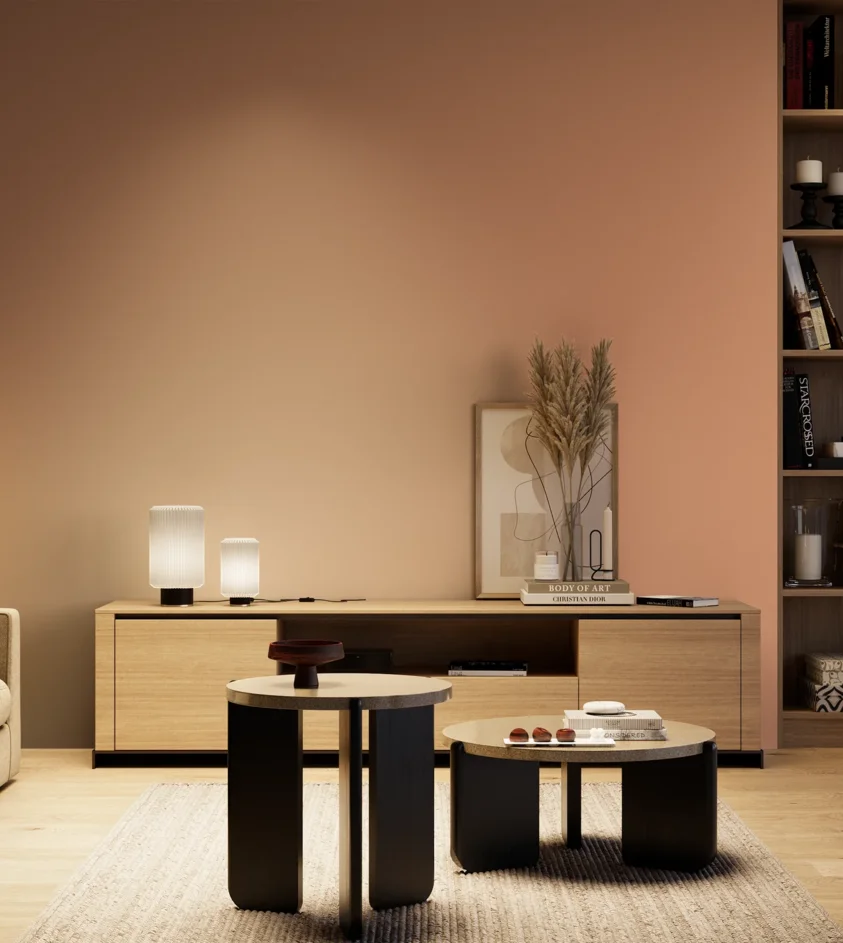 P10_SNIEZKA_salon_04_cieple_GREY_S2030-Y60R