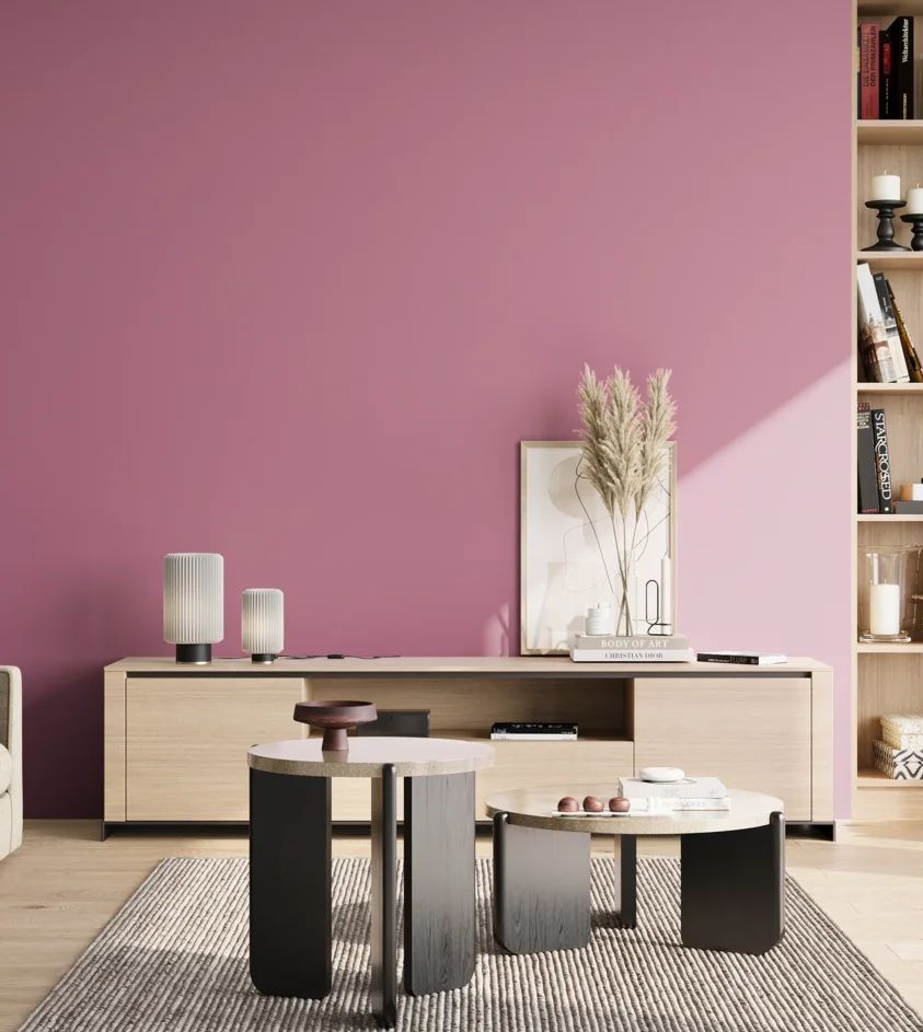 P10_SNIEZKA_salon_02_poludnie_GREY_S2040-R30B