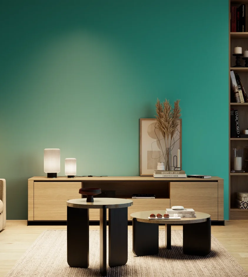 P10_SNIEZKA_salon_04_cieple_GREY_S2050-B60G