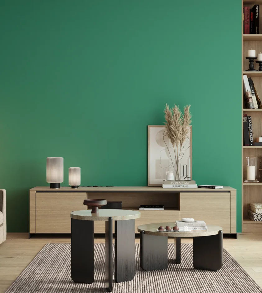P10_SNIEZKA_salon_00_neutral_GREY_S2050-B90G