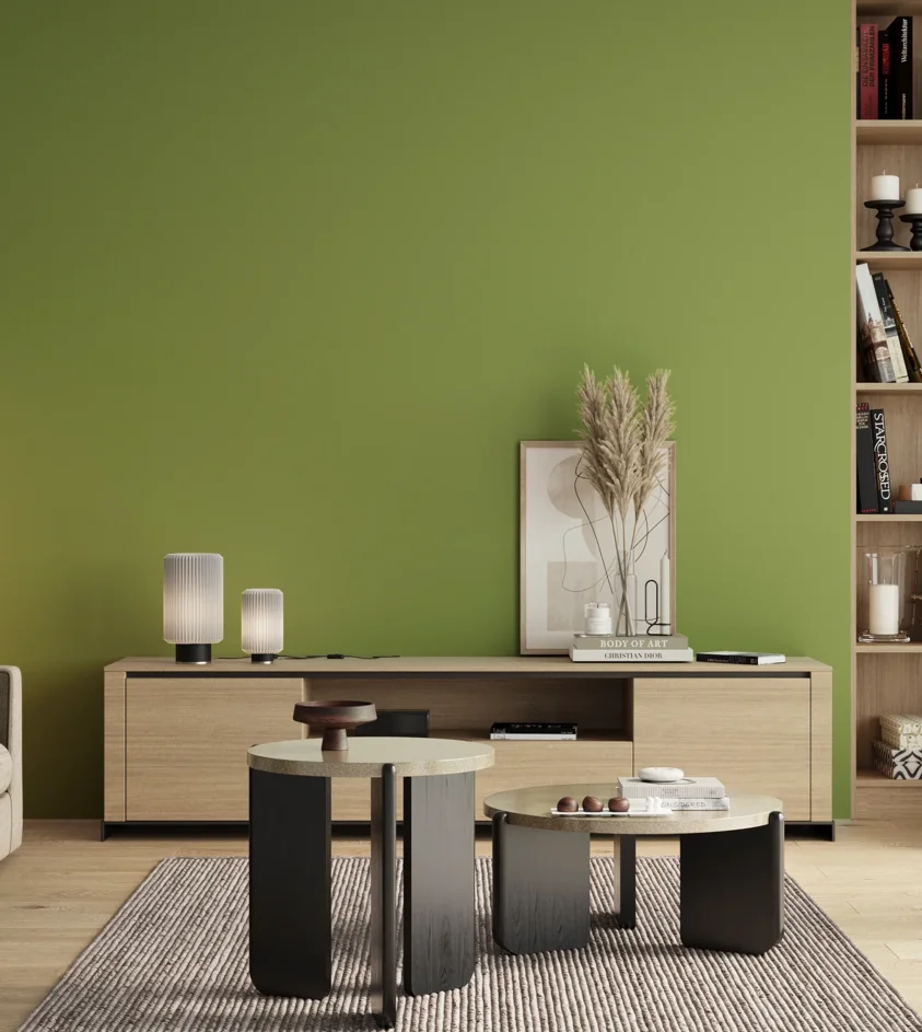 P10_SNIEZKA_salon_00_neutral_GREY_S2050-G40Y