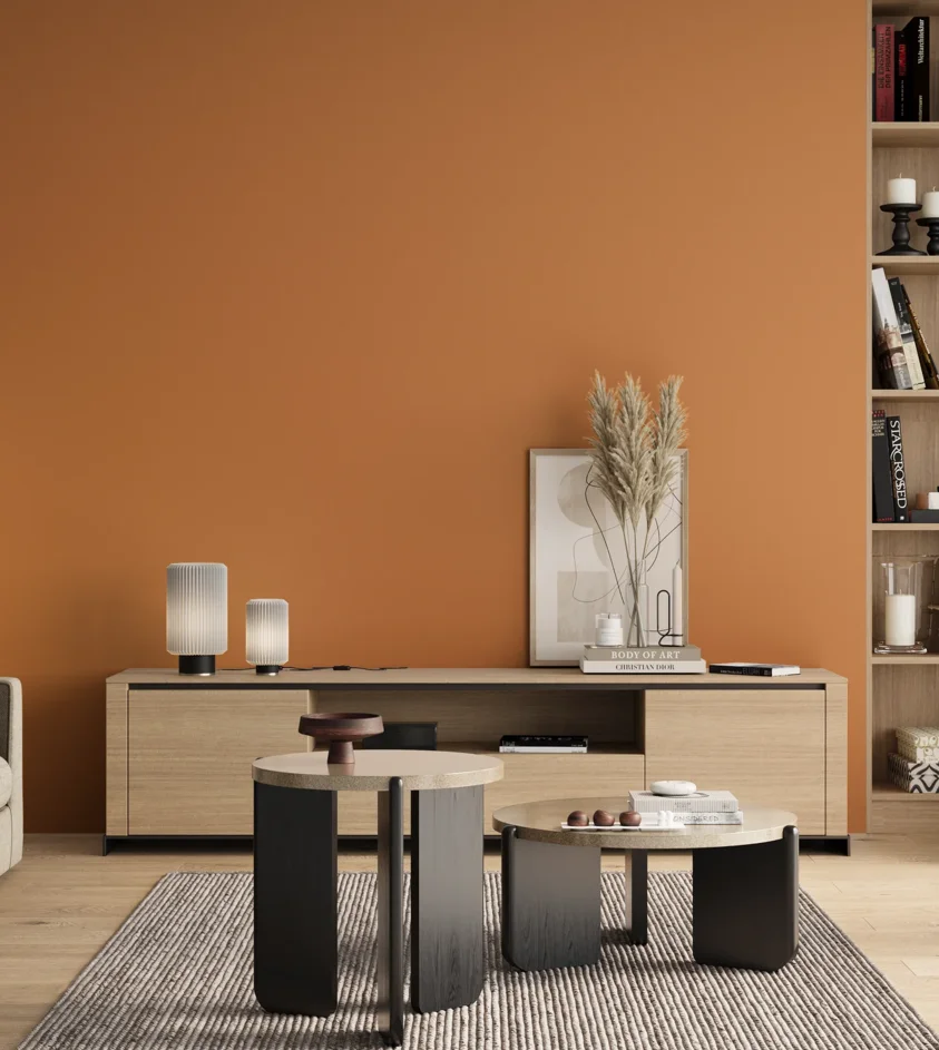 P10_SNIEZKA_salon_00_neutral_GREY_S2050-Y40R
