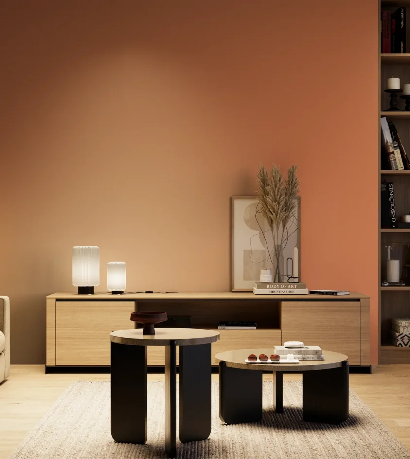 P10_SNIEZKA_salon_04_cieple_GREY_S2050-Y60R