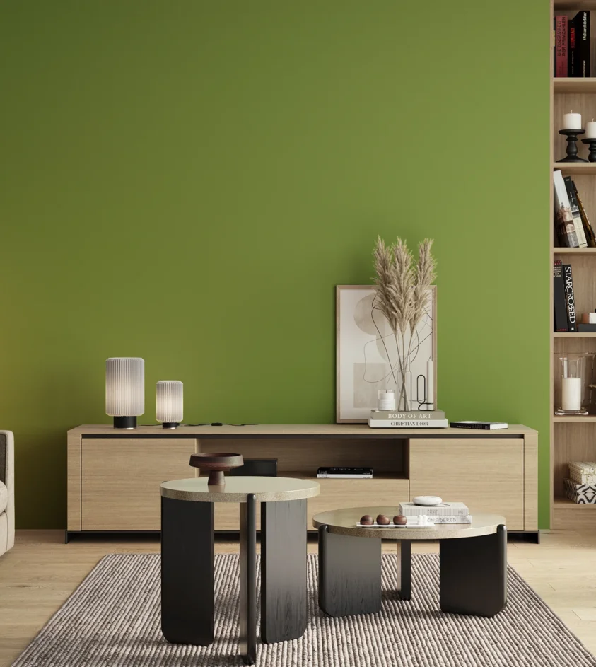 P10_SNIEZKA_salon_00_neutral_GREY_S2060-G40Y