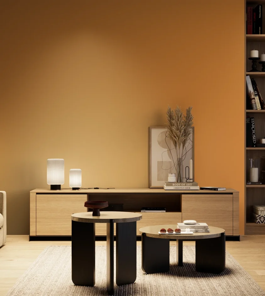 P10_SNIEZKA_salon_04_cieple_GREY_S2060-Y30R