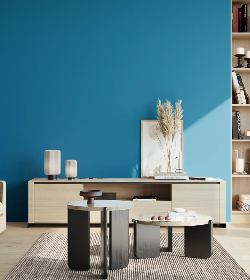 P10_SNIEZKA_salon_02_poludnie_GREY_S2065-B