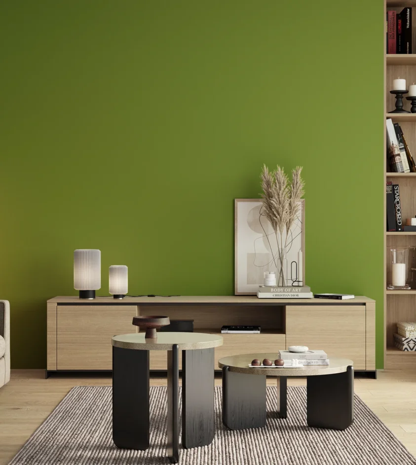 P10_SNIEZKA_salon_00_neutral_GREY_S2070-G40Y