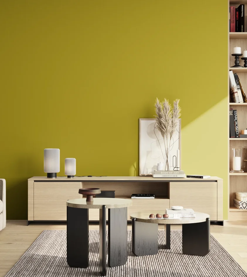P10_SNIEZKA_salon_02_poludnie_GREY_S2070-G80Y