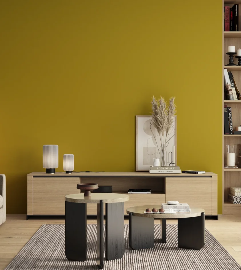 P10_SNIEZKA_salon_00_neutral_GREY_S2070-G90Y