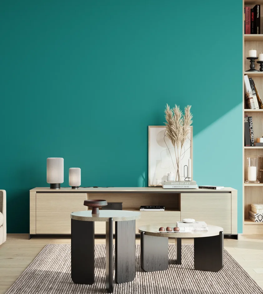 P10_SNIEZKA_salon_02_poludnie_GREY_S2555-B40G