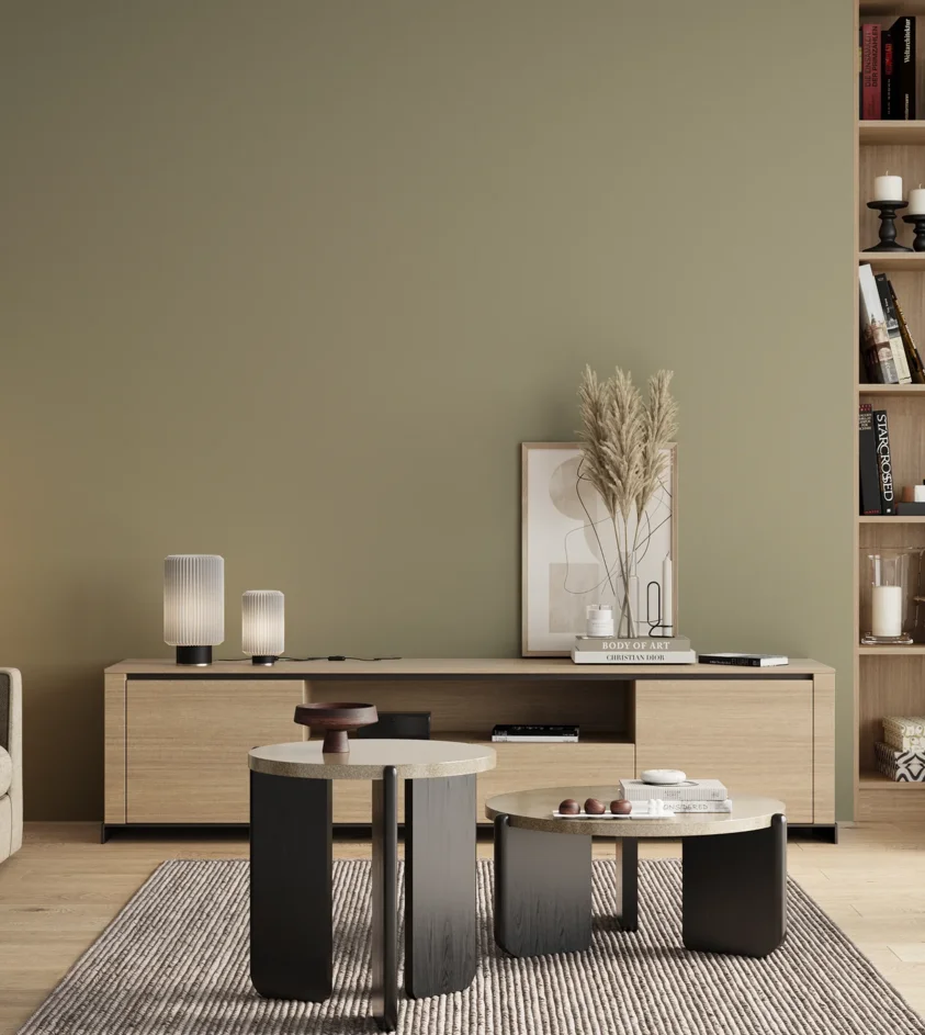 P10_SNIEZKA_salon_00_neutral_GREY_S3010-G80Y
