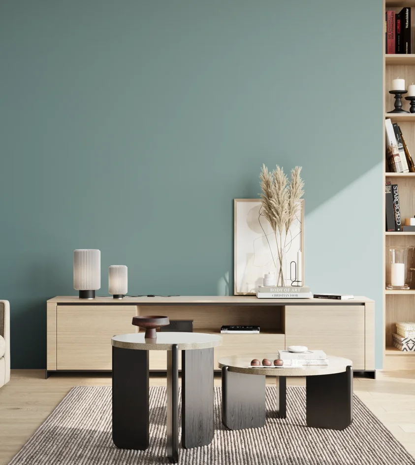 P10_SNIEZKA_salon_02_poludnie_GREY_S3020-B30G