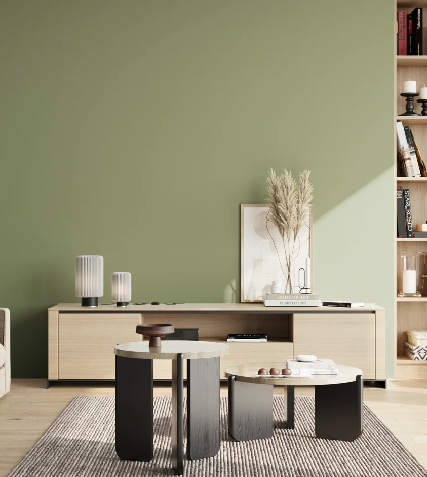 P10_SNIEZKA_salon_02_poludnie_GREY_S3020-G40Y