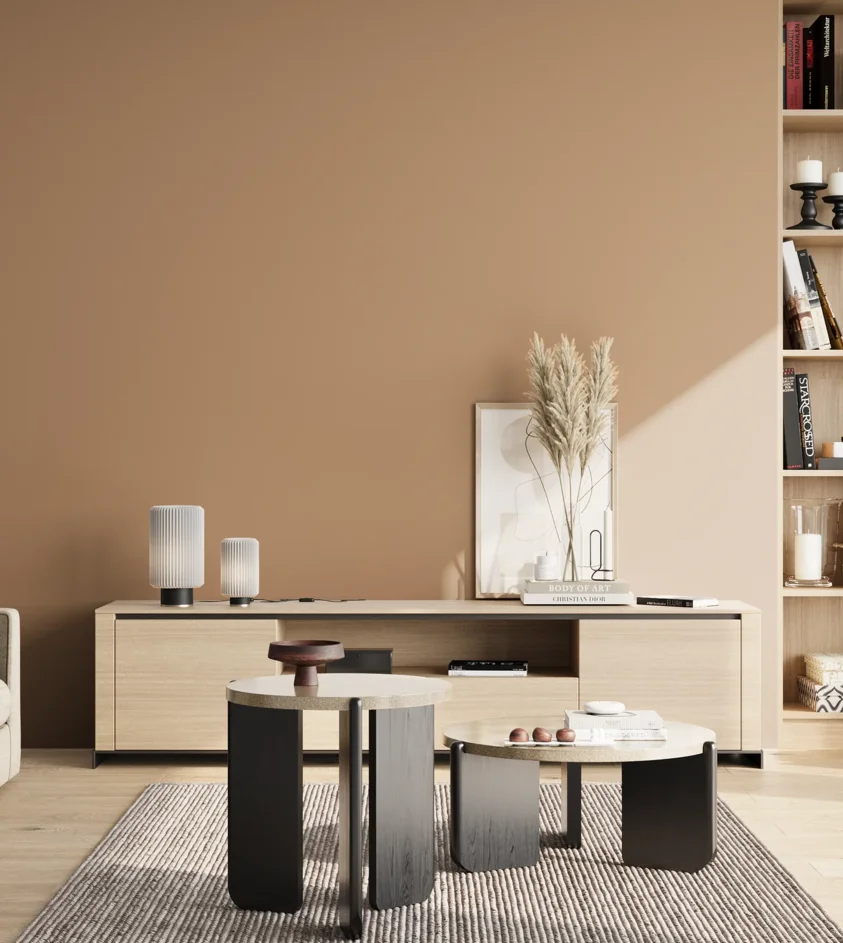 P10_SNIEZKA_salon_02_poludnie_GREY_S3020-Y40R