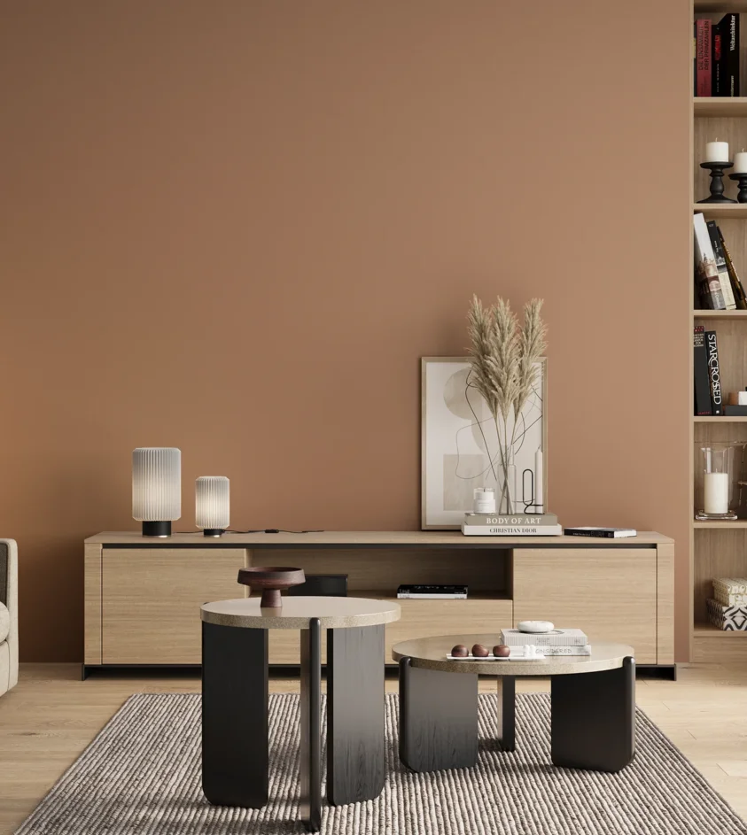 P10_SNIEZKA_salon_00_neutral_GREY_S3020-Y50R
