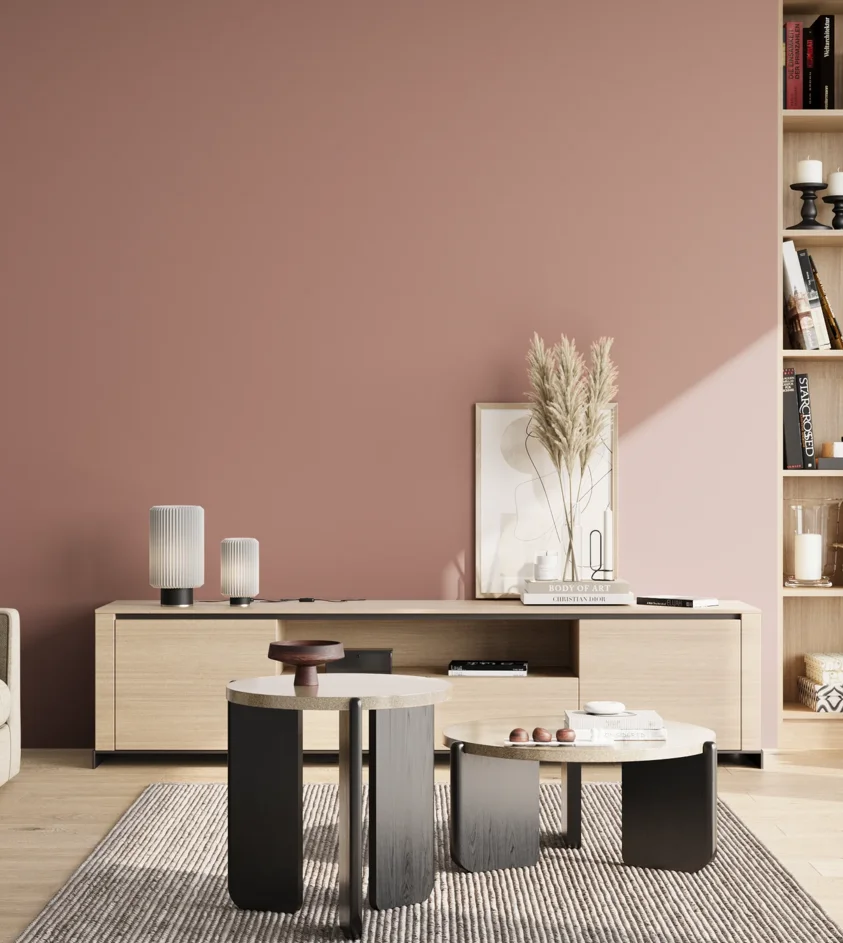 P10_SNIEZKA_salon_02_poludnie_GREY_S3020-Y90R