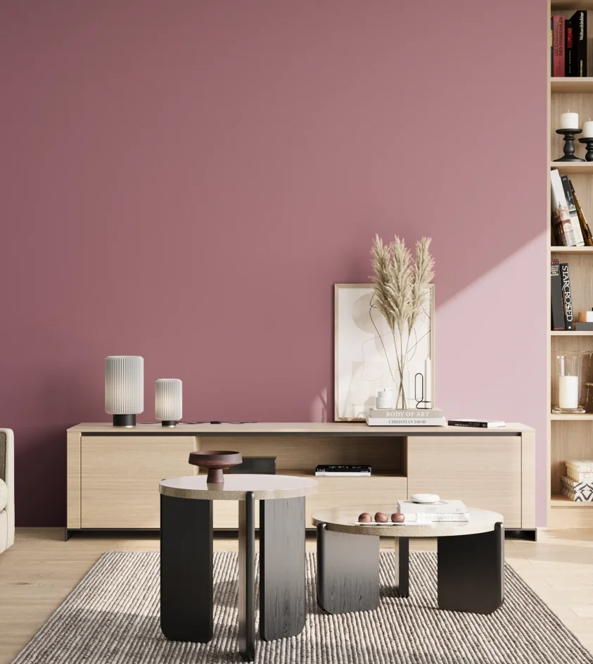 P10_SNIEZKA_salon_02_poludnie_GREY_S3030-R20B