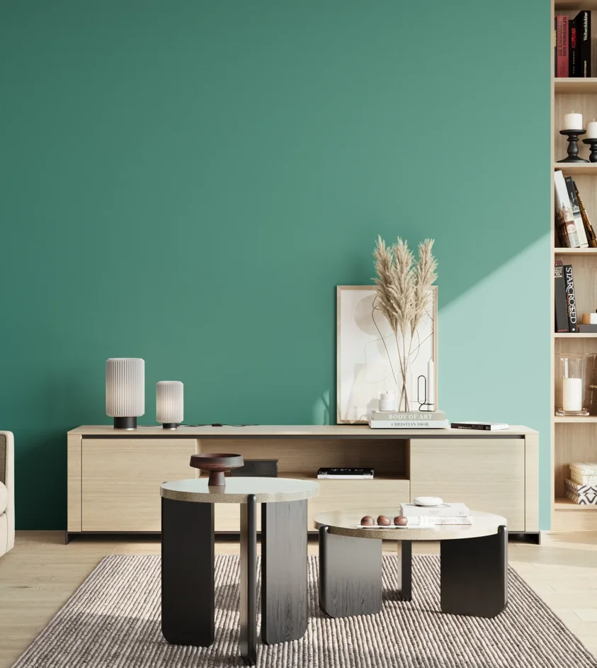 P10_SNIEZKA_salon_02_poludnie_GREY_S3040-B70G