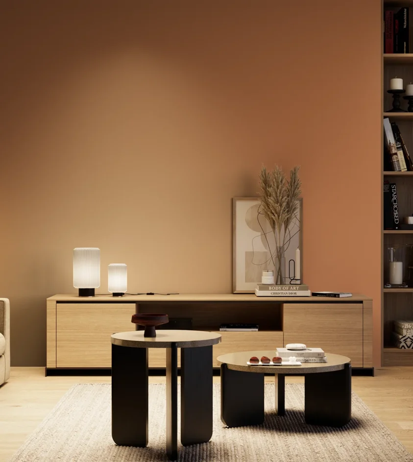 P10_SNIEZKA_salon_04_cieple_GREY_S3040-Y50R