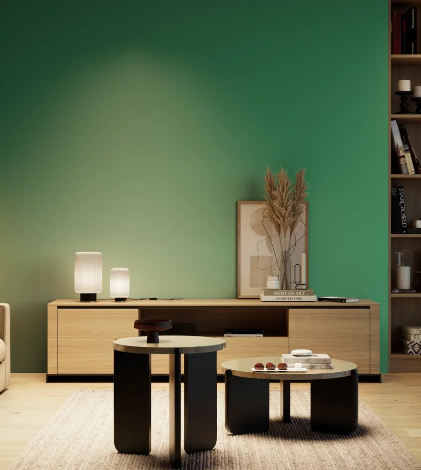 P10_SNIEZKA_salon_04_cieple_GREY_S3050-G