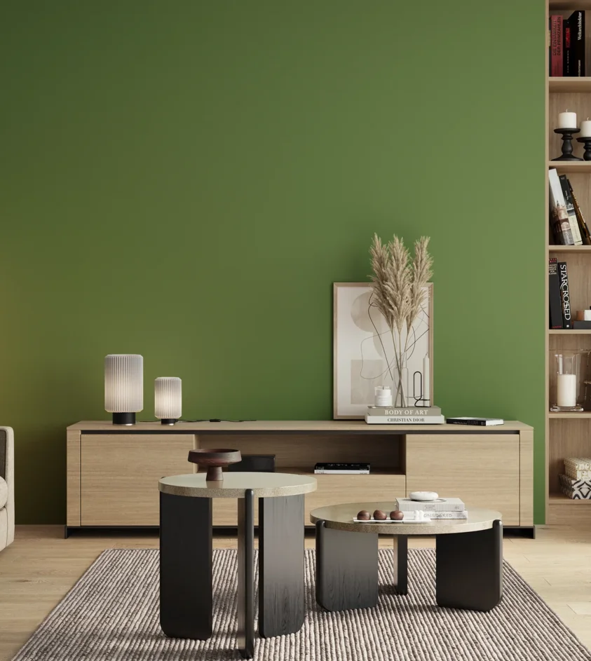 P10_SNIEZKA_salon_00_neutral_GREY_S3050-G30Y
