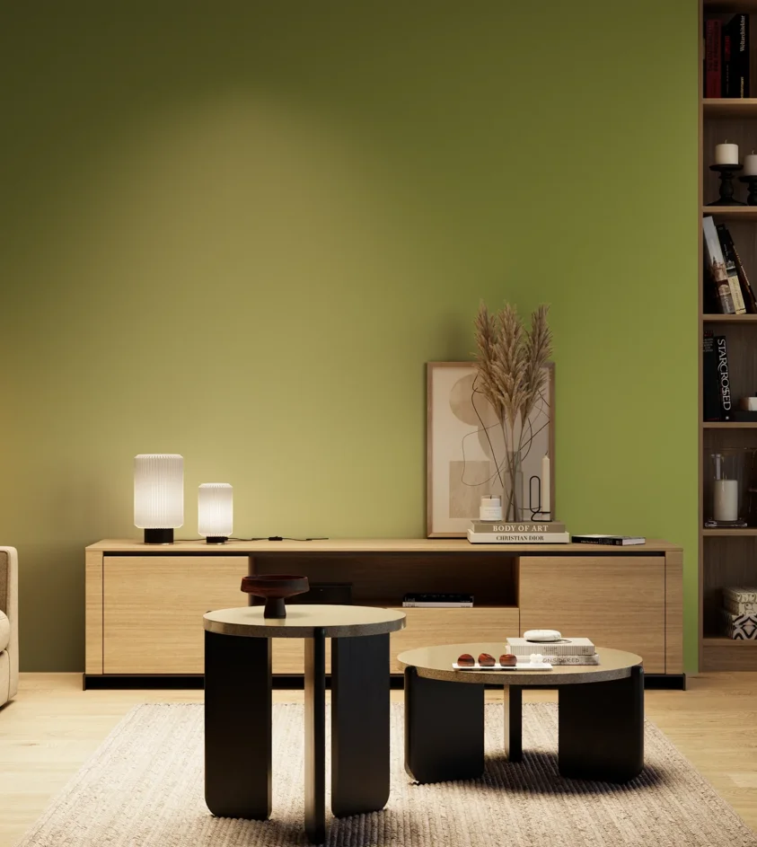 P10_SNIEZKA_salon_04_cieple_GREY_S3050-G50Y