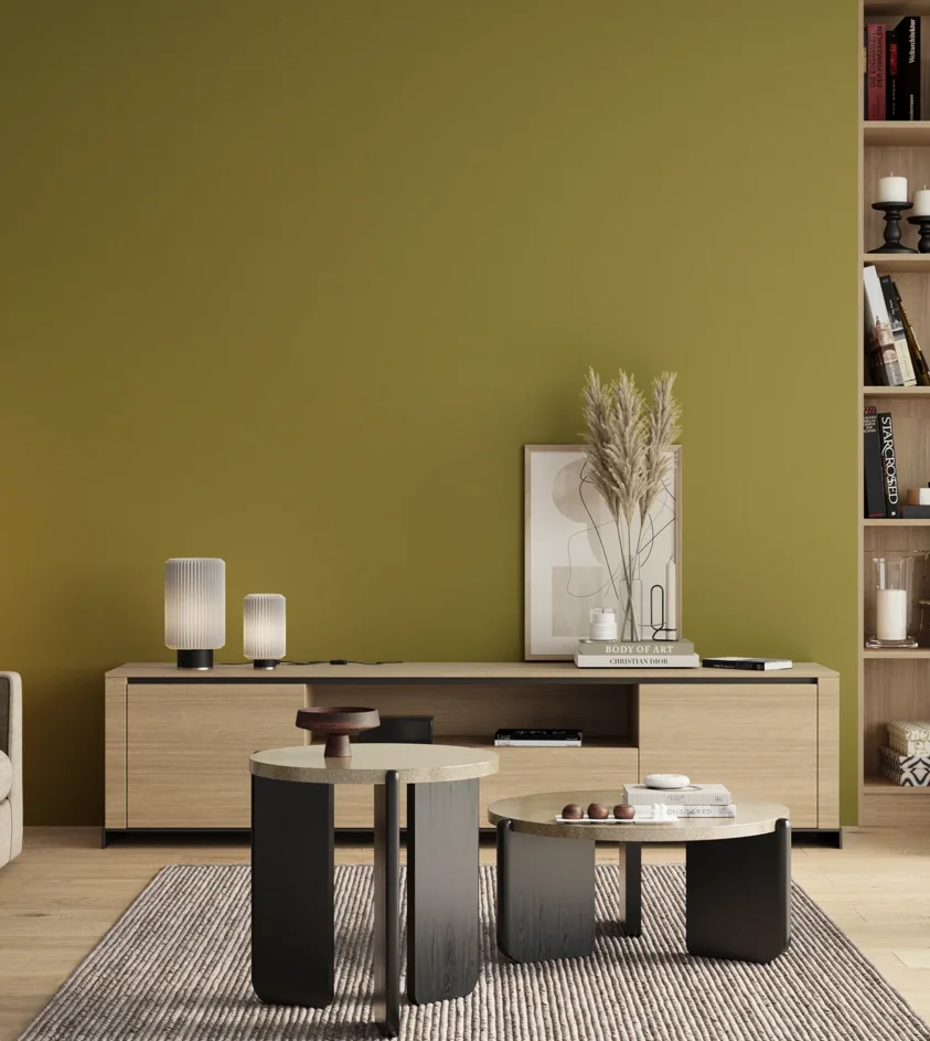 P10_SNIEZKA_salon_00_neutral_GREY_S3050-G80Y