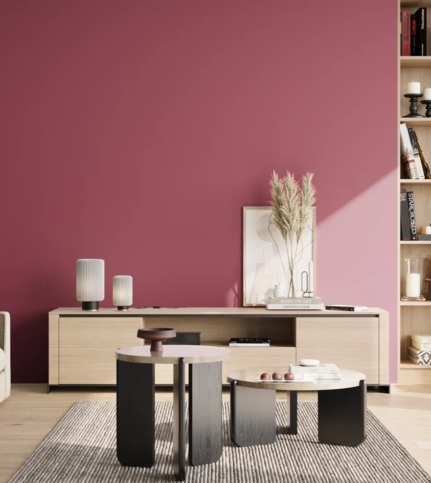P10_SNIEZKA_salon_02_poludnie_GREY_S3050-R20B
