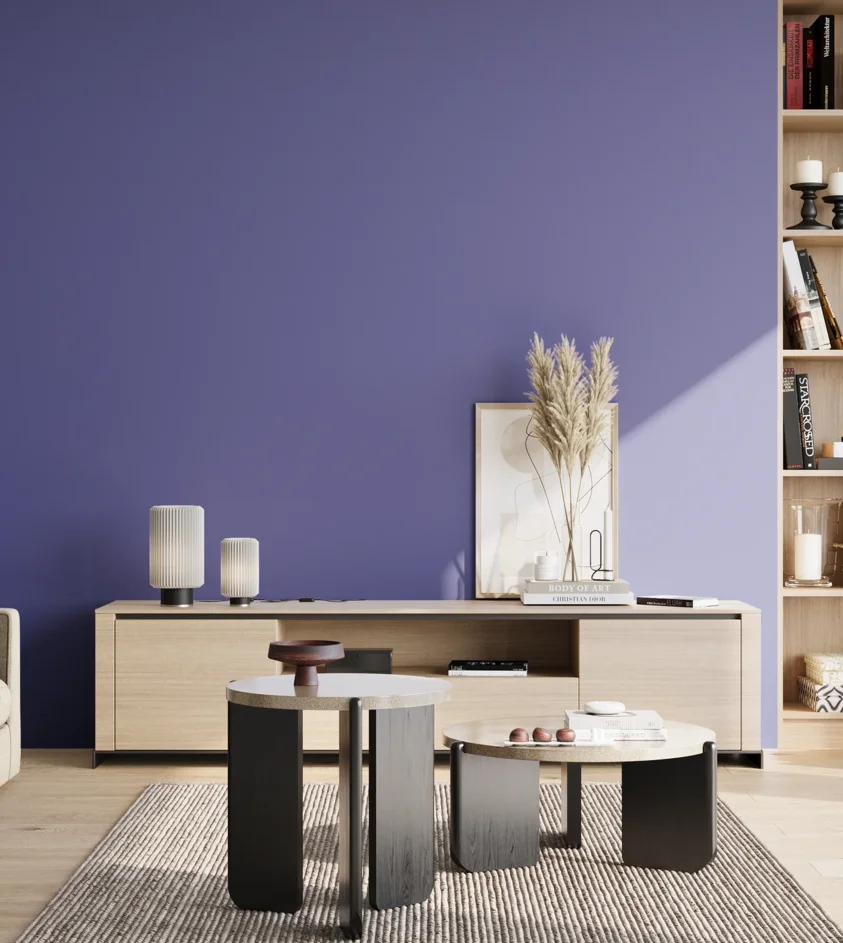 P10_SNIEZKA_salon_02_poludnie_GREY_S3050-R70B