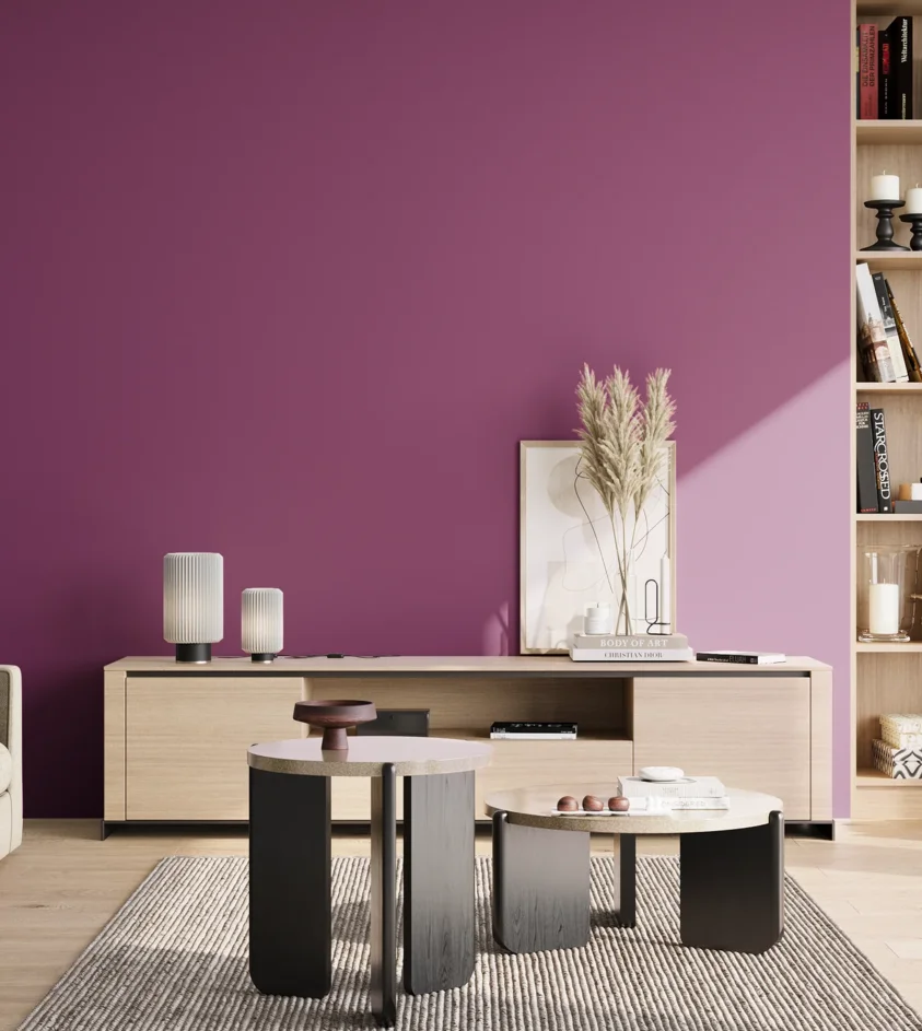 P10_SNIEZKA_salon_02_poludnie_GREY_S3055-R40B