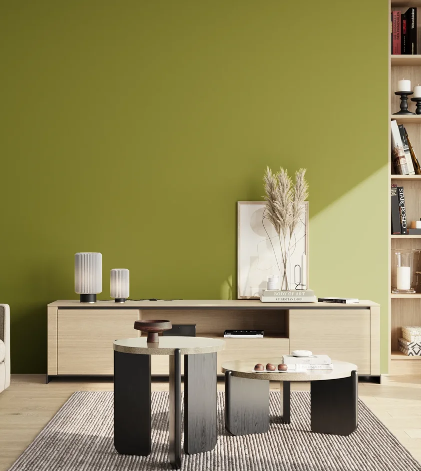 P10_SNIEZKA_salon_02_poludnie_GREY_S3060-G60Y
