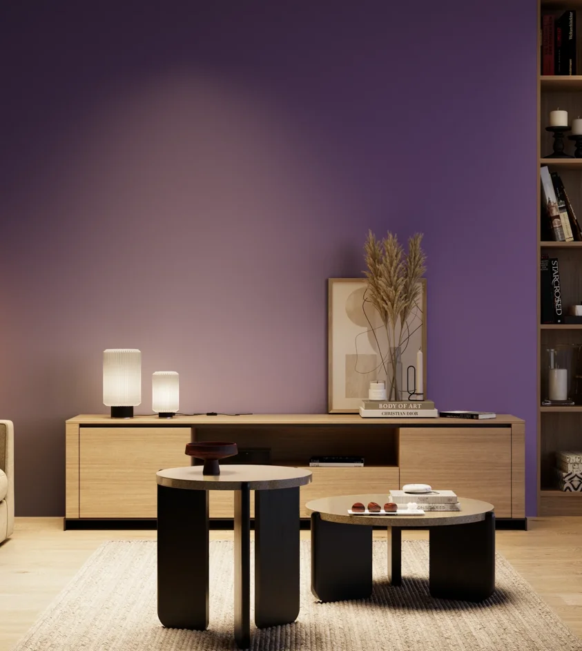 P10_SNIEZKA_salon_04_cieple_GREY_S3555-R60B
