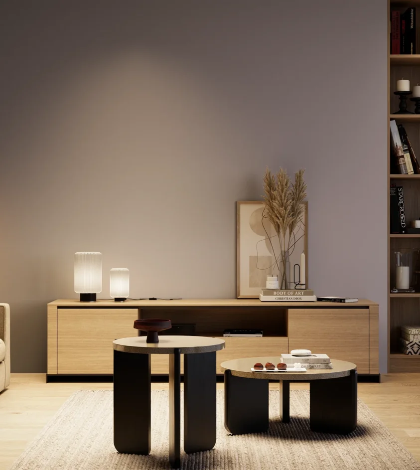 P10_SNIEZKA_salon_04_cieple_GREY_S4010-R50B
