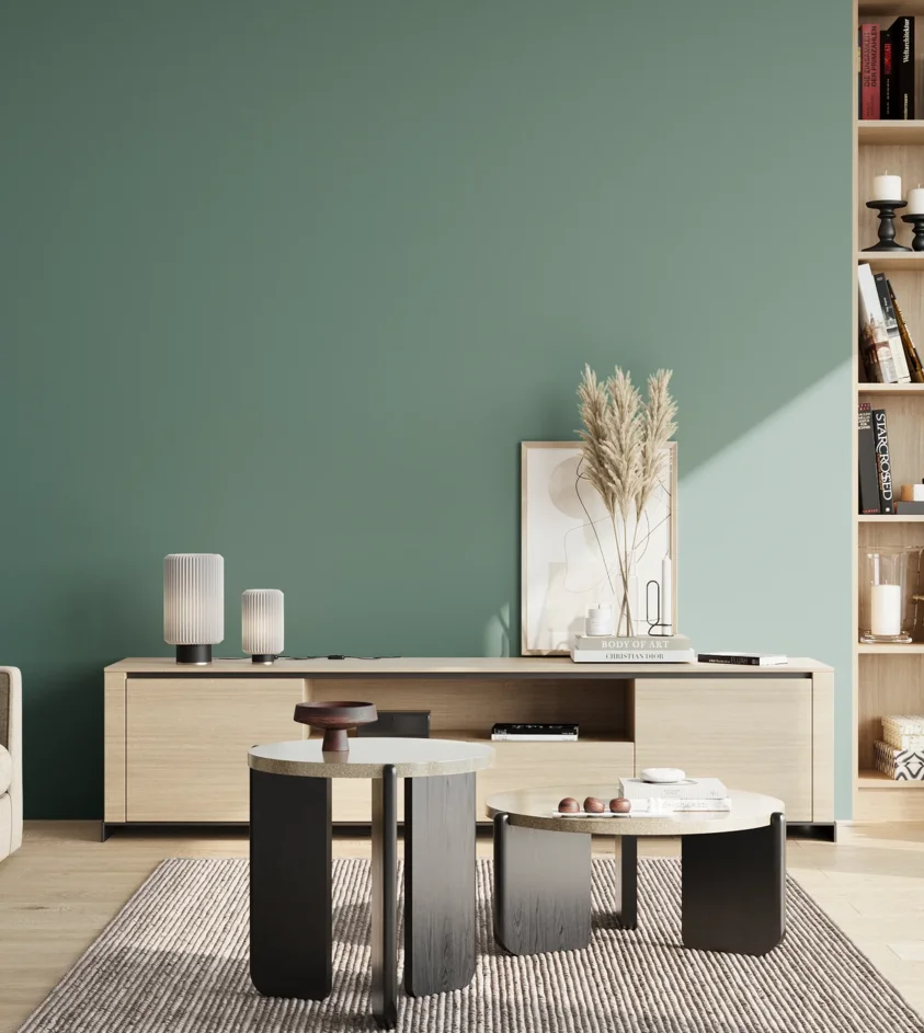P10_SNIEZKA_salon_02_poludnie_GREY_S4020-B70G