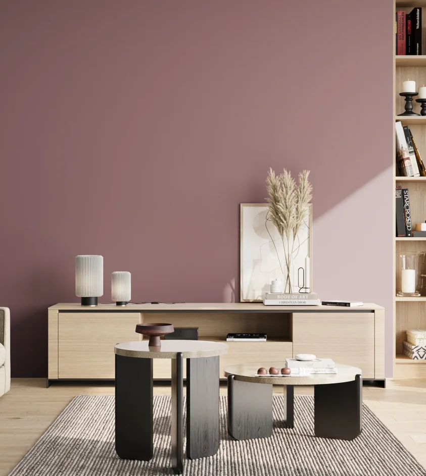 P10_SNIEZKA_salon_02_poludnie_GREY_S4020-R20B