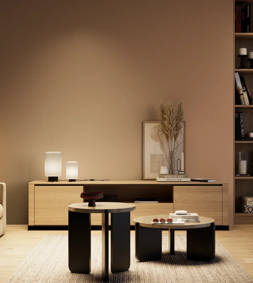 P10_SNIEZKA_salon_04_cieple_GREY_S4020-Y50R