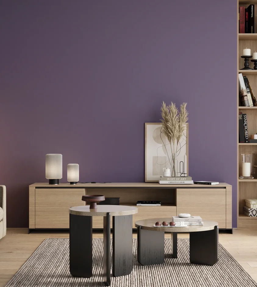 P10_SNIEZKA_salon_00_neutral_GREY_S4030-R60B