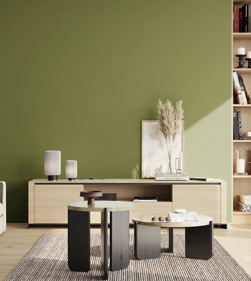 P10_SNIEZKA_salon_02_poludnie_GREY_S4040-G50Y