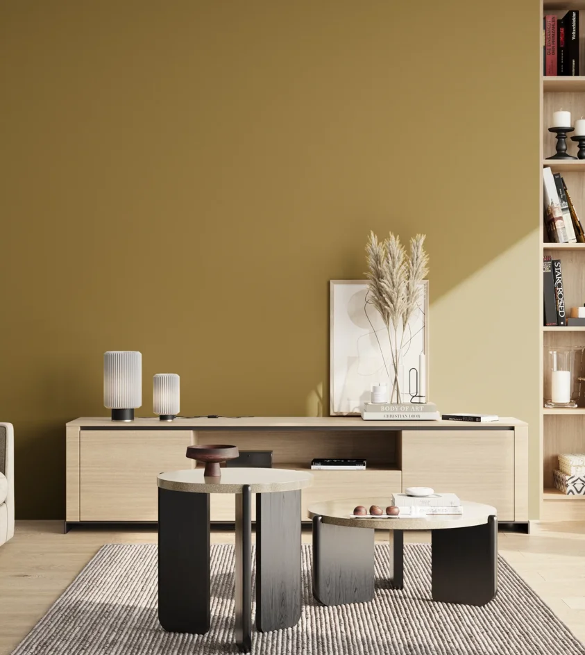 P10_SNIEZKA_salon_02_poludnie_GREY_S4040-Y