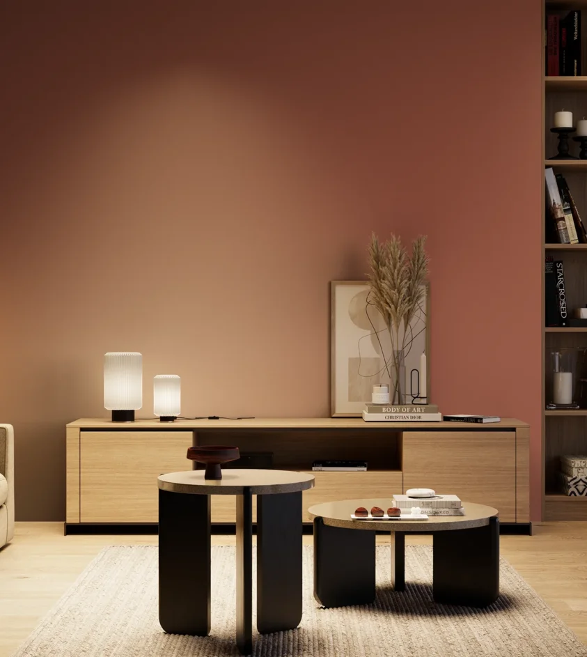 P10_SNIEZKA_salon_04_cieple_GREY_S4040-Y80R