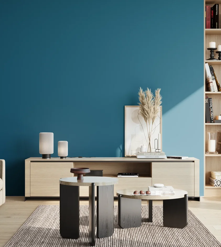 P10_SNIEZKA_salon_02_poludnie_GREY_S4050-B