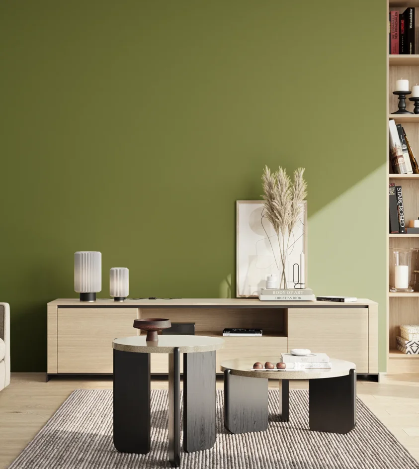 P10_SNIEZKA_salon_02_poludnie_GREY_S4050-G50Y