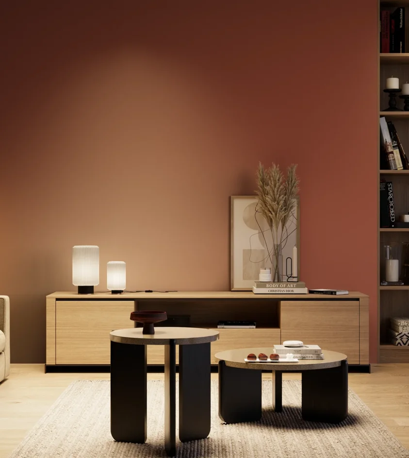 P10_SNIEZKA_salon_04_cieple_GREY_S4050-Y80R