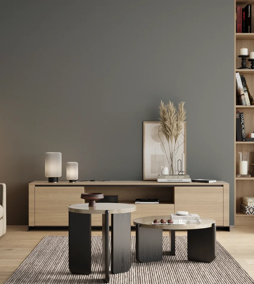 P10_SNIEZKA_salon_00_neutral_GREY_S5005-B20G