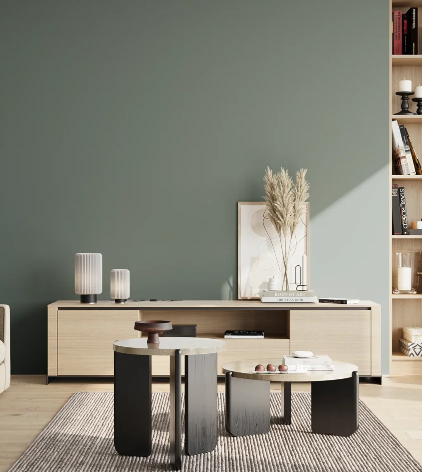P10_SNIEZKA_salon_02_poludnie_GREY_S5010-B70G