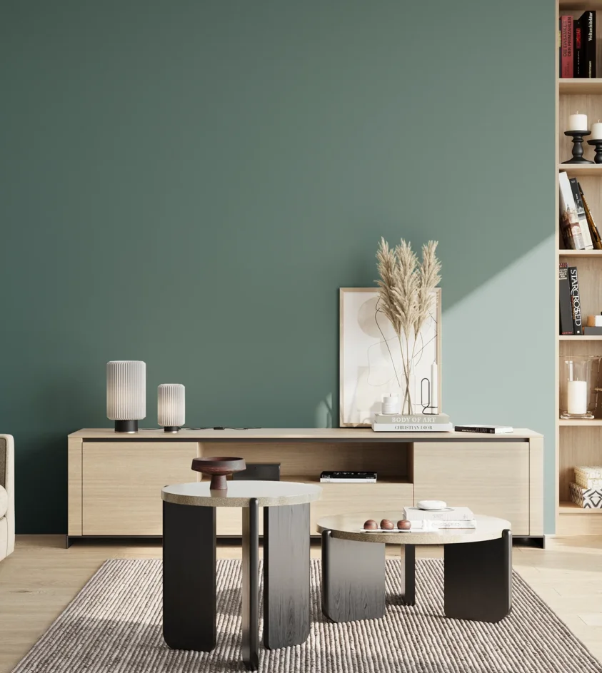 P10_SNIEZKA_salon_02_poludnie_GREY_S5020-B50G