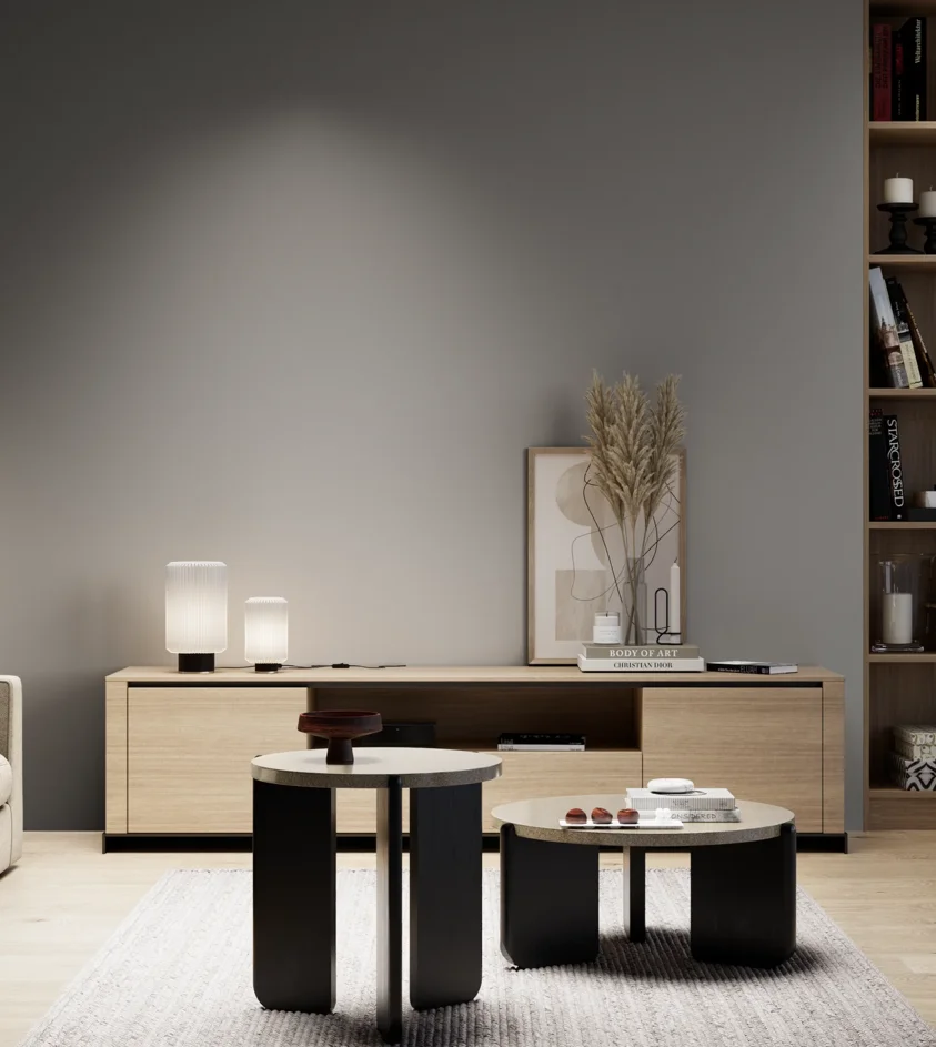 P10_SNIEZKA_salon_05_zimne_GREY_S5500-N