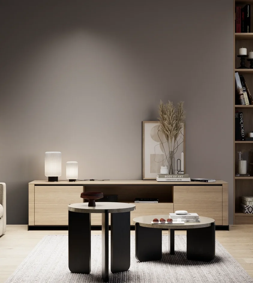 P10_SNIEZKA_salon_05_zimne_GREY_S6005-Y80R